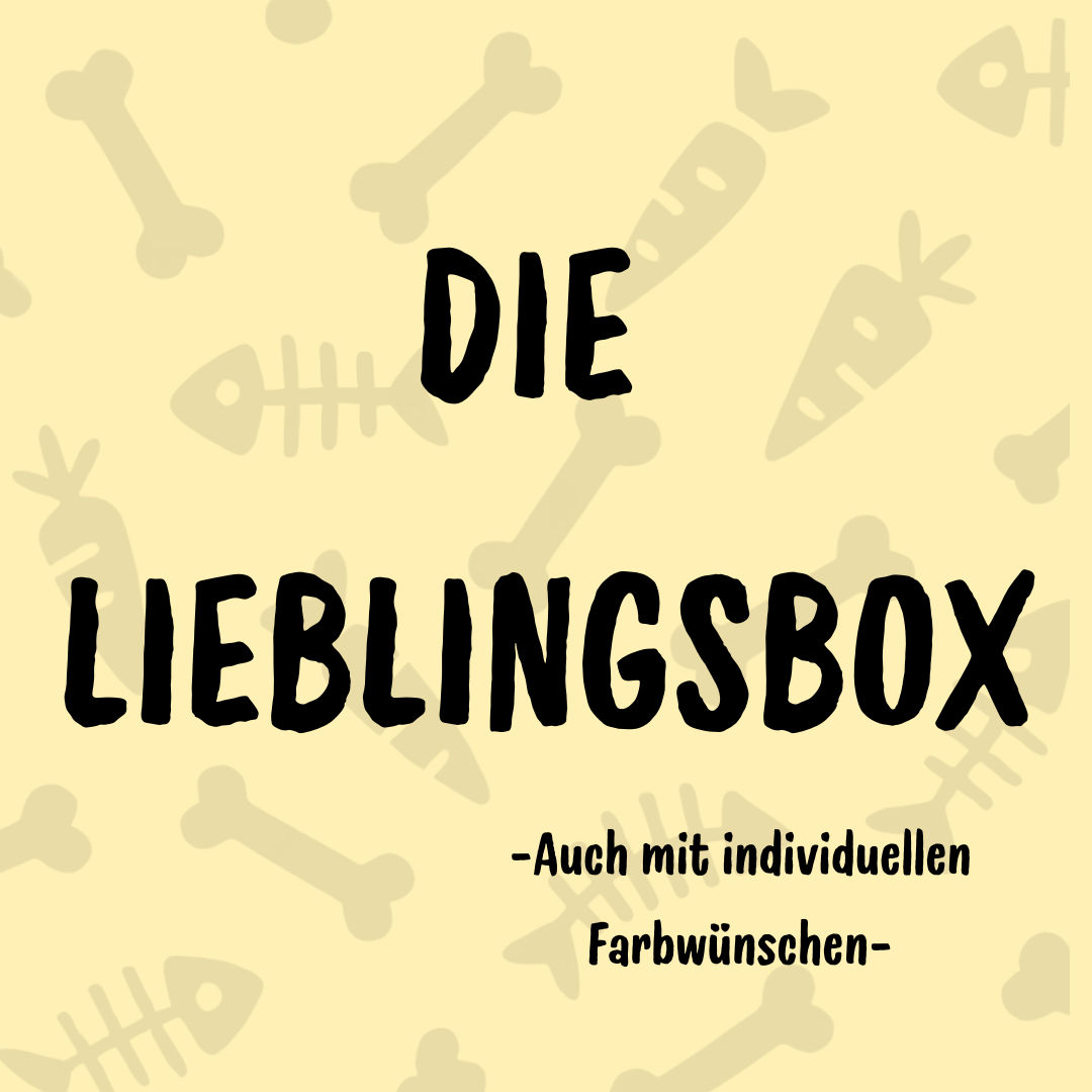 Die Lieblingsbox – Leckerlidose mit Charme.